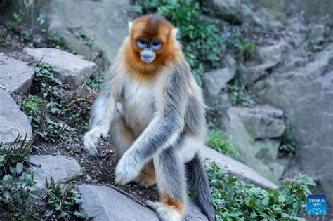 玉合公園怎麼樣？深度探索其魅力與特色